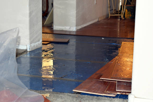 Professional Sewage Cleanup technician working in Marble Falls, TX